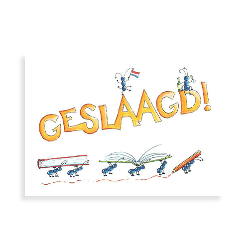 Geslaagd: miertjes