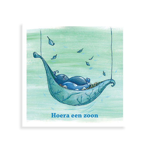 Lieveheersbeestje: Hoera een zoon