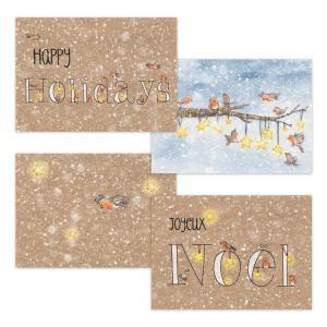 Set van 4 kerstkaarten: Roodborstjes